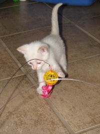 20100206 422.JPG